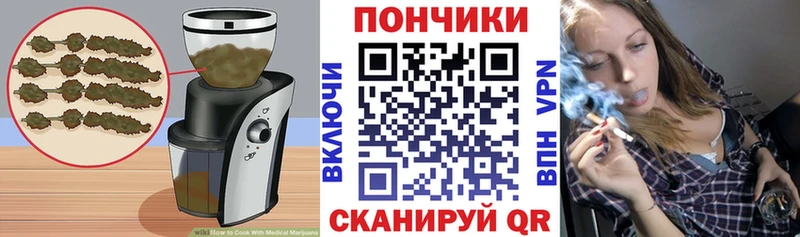 shop какой сайт  купить наркотик  Новосокольники  Cannafood марихуана 