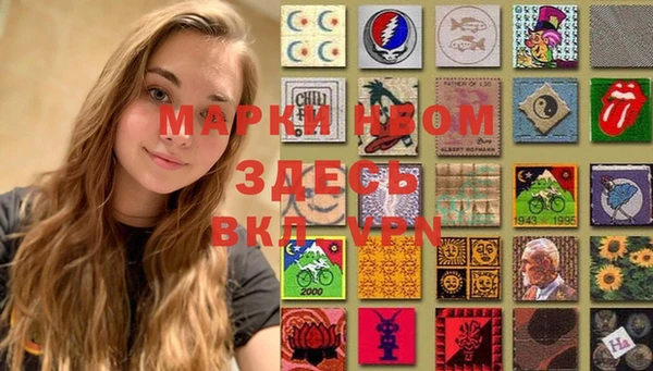 гидра Верхний Тагил