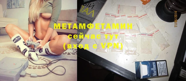 гидра Верхний Тагил