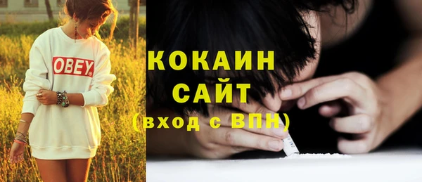 гидра Верхний Тагил
