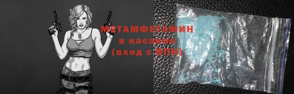 гидра Верхний Тагил