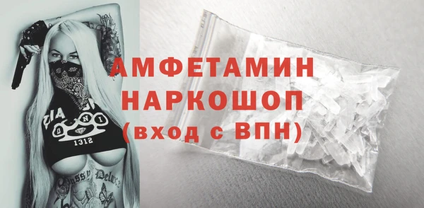 гидра Верхний Тагил