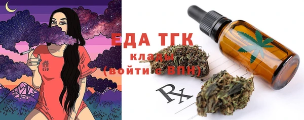 гидра Верхний Тагил