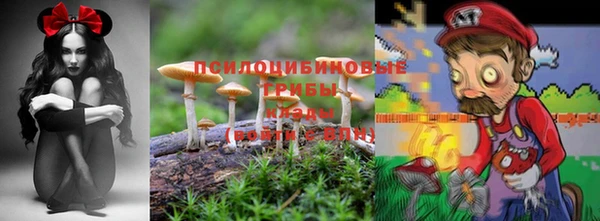 гидра Верхний Тагил